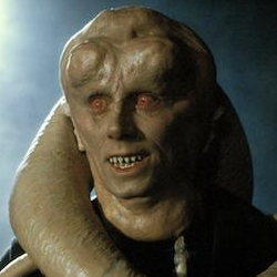 Bib Fortuna
