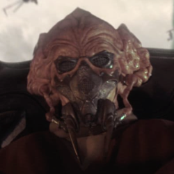 Plo Koon
